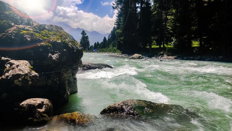 Shalimar Destination